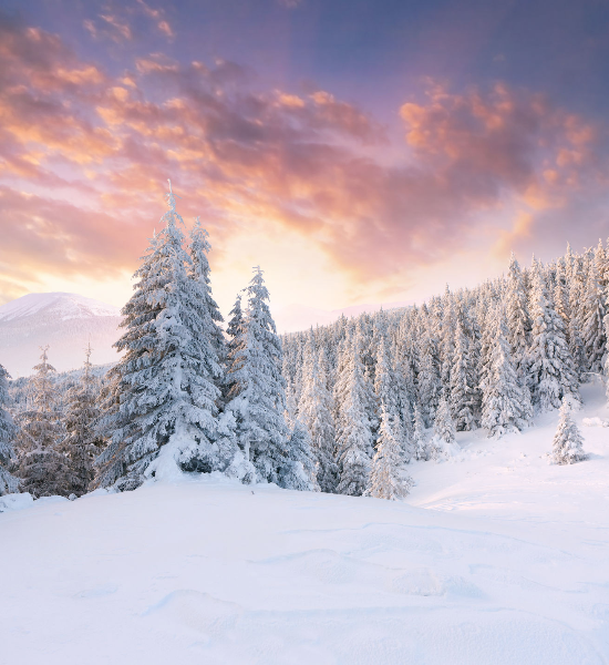 Vivere in salute secondo i ritmi delle stagioni: L'Inverno